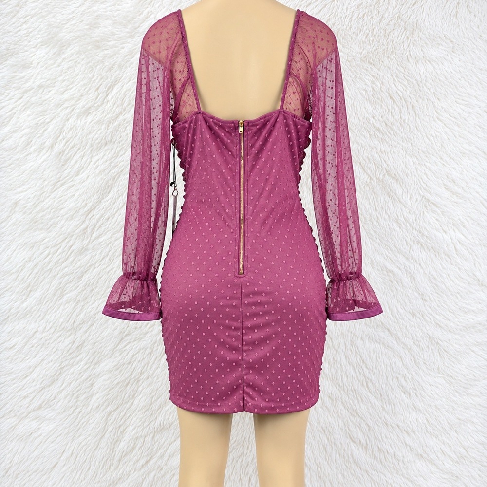 Haute Monde NWT Mauve Ruched Swiss Dot Mesh Bodycon Mini Dress XL - Picture 2 of 5